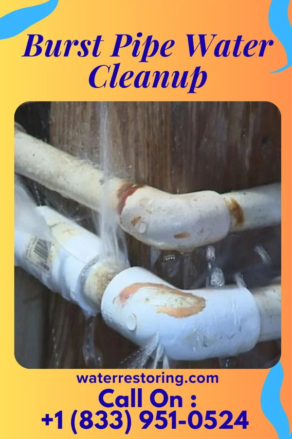 Burst Pipe Water Cleanup in Memphis, TN