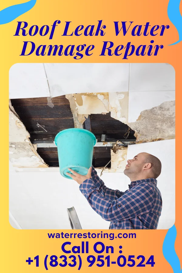 Roof Leak Water Damage Repair in Memphis, TN
