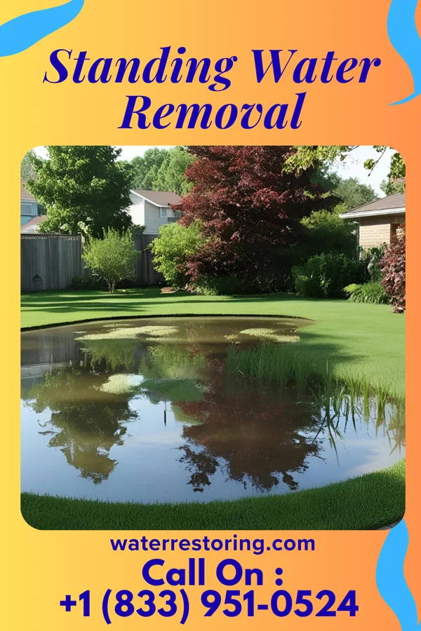 Standing Water Removal in Memphis, TN